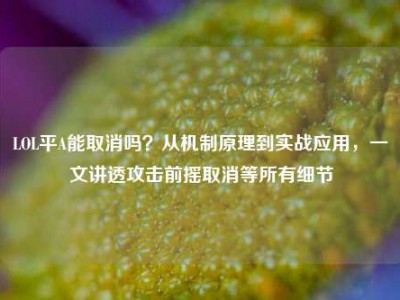 LOL平A能取消吗？从机制原理到实战应用，一文讲透攻击前摇取消等所有细节