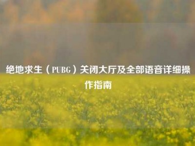 绝地求生（PUBG）关闭大厅及全部语音详细操作指南