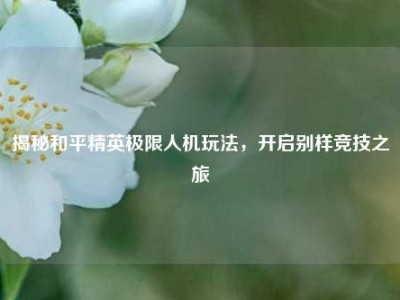 揭秘和平精英极限人机玩法，开启别样竞技之旅