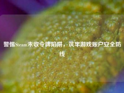 警惕Steam未收令牌陷阱，筑牢游戏账户安全防线