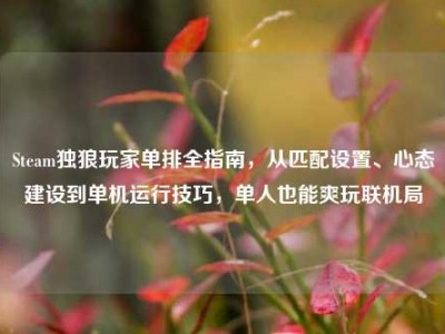 Steam独狼玩家单排全指南，从匹配设置、心态建设到单机运行技巧，单人也能爽玩联机局