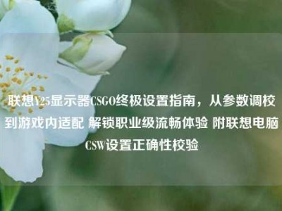 联想Y25显示器CSGO终极设置指南，从参数调校到游戏内适配 解锁职业级流畅体验 附联想电脑CSW设置正确性校验