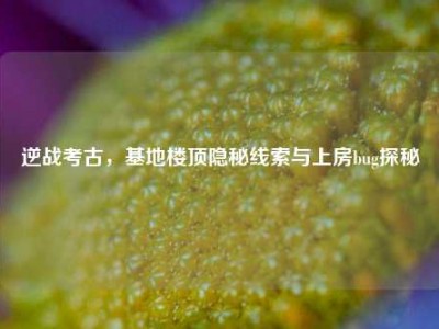 逆战考古，基地楼顶隐秘线索与上房bug探秘
