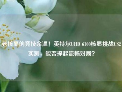 老核显的竞技余温！英特尔UHD 6100核显挑战CS2实测，能否撑起流畅对局？