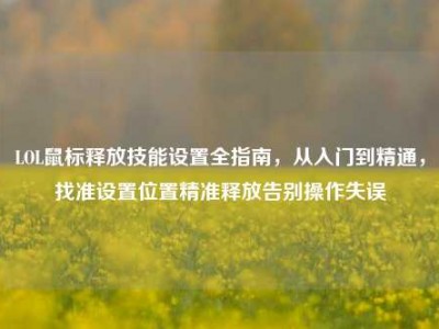 LOL鼠标释放技能设置全指南，从入门到精通，找准设置位置精准释放告别操作失误