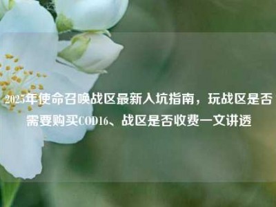 2025年使命召唤战区最新入坑指南，玩战区是否需要购买COD16、战区是否收费一文讲透