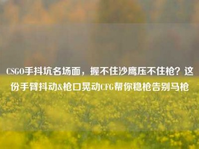 CSGO手抖坑名场面，握不住沙鹰压不住枪？这份手臂抖动&枪口晃动CFG帮你稳枪告别马枪