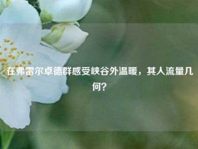 在弗雷尔卓德群感受峡谷外温暖，其人流量几何？