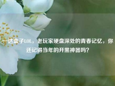 一达盒子LOL，老玩家硬盘深处的青春记忆，你还记得当年的开黑神器吗？