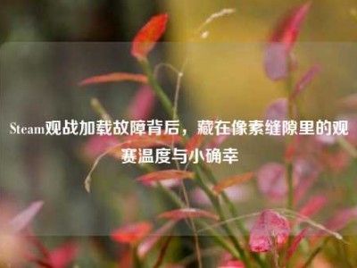 Steam观战加载故障背后，藏在像素缝隙里的观赛温度与小确幸