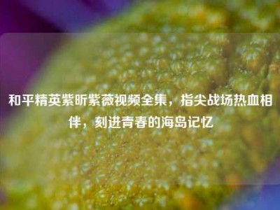 和平精英紫昕紫薇视频全集，指尖战场热血相伴，刻进青春的海岛记忆
