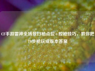 CF手游雷神全场景扫枪点位+控枪技巧，教你把T0步枪玩成版本答案