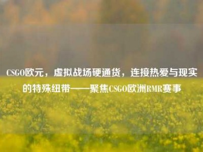 CSGO欧元，虚拟战场硬通货，连接热爱与现实的特殊纽带——聚焦CSGO欧洲RMR赛事