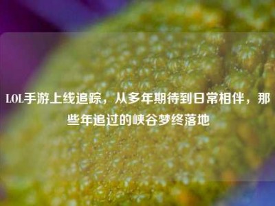 LOL手游上线追踪，从多年期待到日常相伴，那些年追过的峡谷梦终落地