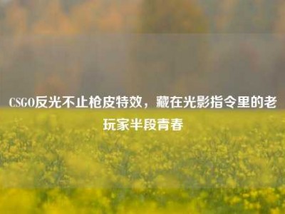 CSGO反光不止枪皮特效，藏在光影指令里的老玩家半段青春