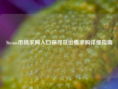 Steam市场求购入口探寻及出售求购详细指南