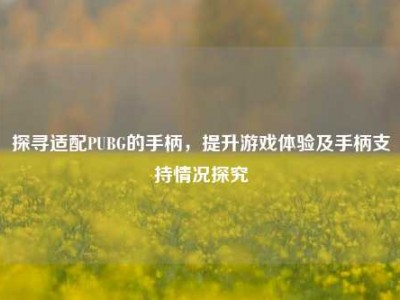 探寻适配PUBG的手柄，提升游戏体验及手柄支持情况探究