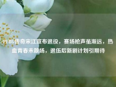 PUBG传奇宋江宣布退役，赛场枪声虽渐远，热血青春未散场，退伍后新剧计划引期待