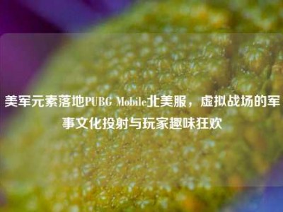美军元素落地PUBG Mobile北美服，虚拟战场的军事文化投射与玩家趣味狂欢
