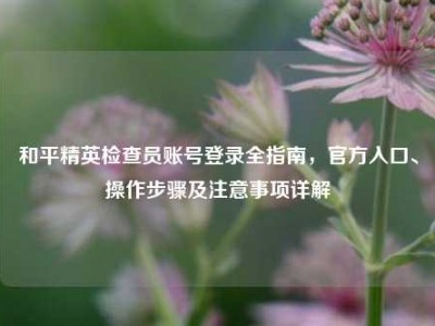 和平精英检查员账号登录全指南，官方入口、操作步骤及注意事项详解