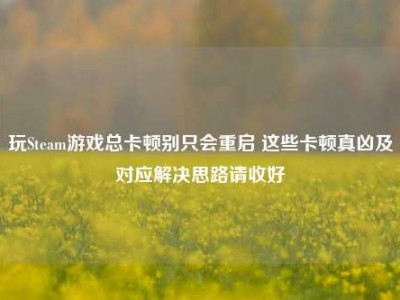 玩Steam游戏总卡顿别只会重启 这些卡顿真凶及对应解决思路请收好