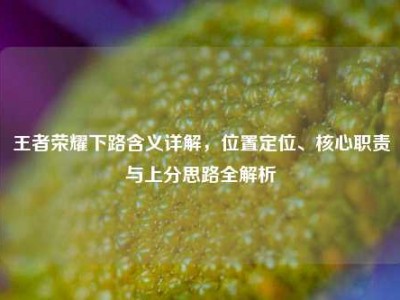 王者荣耀下路含义详解，位置定位、核心职责与上分思路全解析