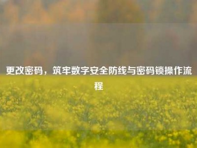 更改密码，筑牢数字安全防线与密码锁操作流程