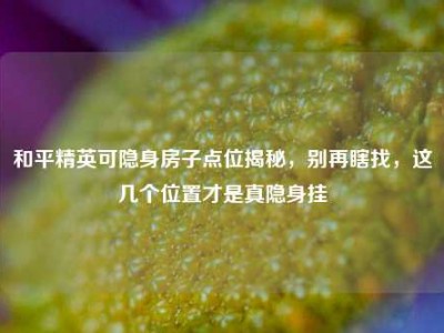 和平精英可隐身房子点位揭秘，别再瞎找，这几个位置才是真隐身挂