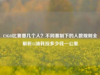 CSGO比赛要几个人？不同赛制下的人数规则全解析14油耗投多少钱一公里