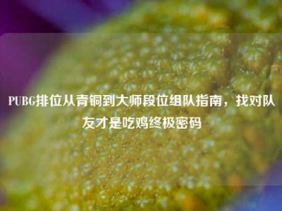 PUBG排位从青铜到大师段位组队指南，找对队友才是吃鸡终极密码