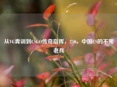 从VG青训到CSGO传奇指挥，259，中国CS的不死老兵