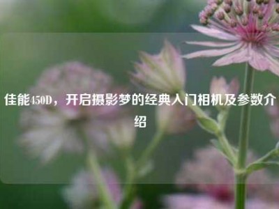佳能450D，开启摄影梦的经典入门相机及参数介绍