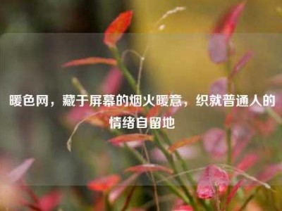 暖色网，藏于屏幕的烟火暖意，织就普通人的情绪自留地