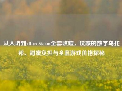 从入坑到all in Steam全套收藏，玩家的数字乌托邦、甜蜜负担与全套游戏价格探秘