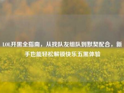 LOL开黑全指南，从找队友组队到默契配合，新手也能轻松解锁快乐五黑体验