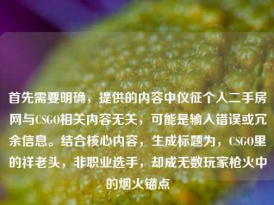 首先需要明确，提供的内容中仪征个人二手房网与CSGO相关内容无关，可能是输入错误或冗余信息。结合核心内容，生成标题为，CSGO里的祥老头，非职业选手，却成无数玩家枪火中的烟火锚点