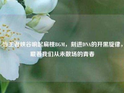当王者峡谷响起扁桃BGM，刻进DNA的开黑旋律，藏着我们从未散场的青春