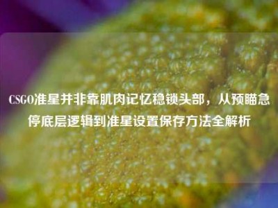 CSGO准星并非靠肌肉记忆稳锁头部，从预瞄急停底层逻辑到准星设置保存方法全解析