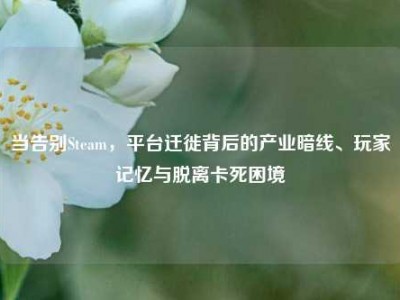 当告别Steam，平台迁徙背后的产业暗线、玩家记忆与脱离卡死困境