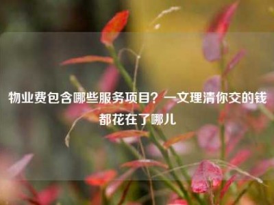 物业费包含哪些服务项目？一文理清你交的钱都花在了哪儿