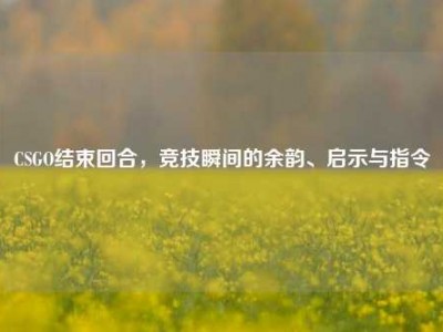 CSGO结束回合，竞技瞬间的余韵、启示与指令