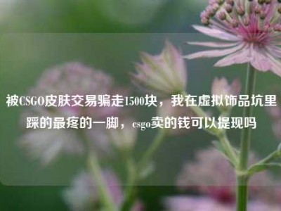 被CSGO皮肤交易骗走1500块，我在虚拟饰品坑里踩的最疼的一脚，csgo卖的钱可以提现吗