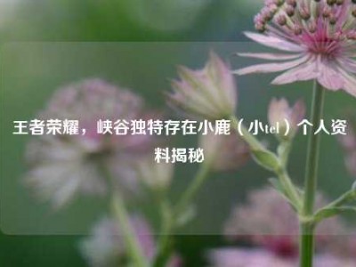 王者荣耀，峡谷独特存在小鹿（小tel）个人资料揭秘