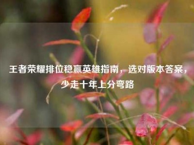 王者荣耀排位稳赢英雄指南，选对版本答案，少走十年上分弯路