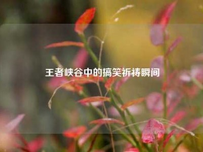 王者峡谷中的搞笑祈祷瞬间
