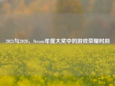 2021与2020，Steam年度大奖中的游戏荣耀时刻