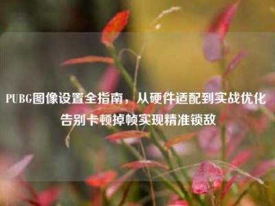 PUBG图像设置全指南，从硬件适配到实战优化 告别卡顿掉帧实现精准锁敌