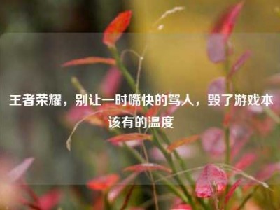 王者荣耀，别让一时嘴快的骂人，毁了游戏本该有的温度