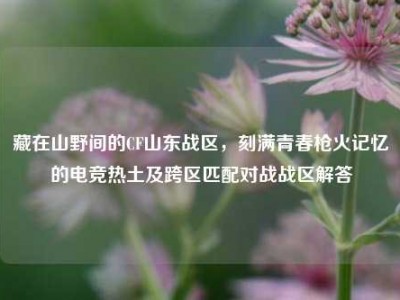 藏在山野间的CF山东战区，刻满青春枪火记忆的电竞热土及跨区匹配对战战区解答