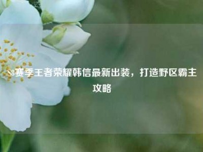 S8赛季王者荣耀韩信最新出装，打造野区霸主攻略